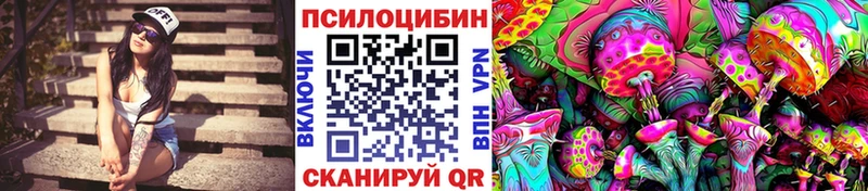 Галлюциногенные грибы Psilocybine cubensis  Купить закладки  Белоусово 